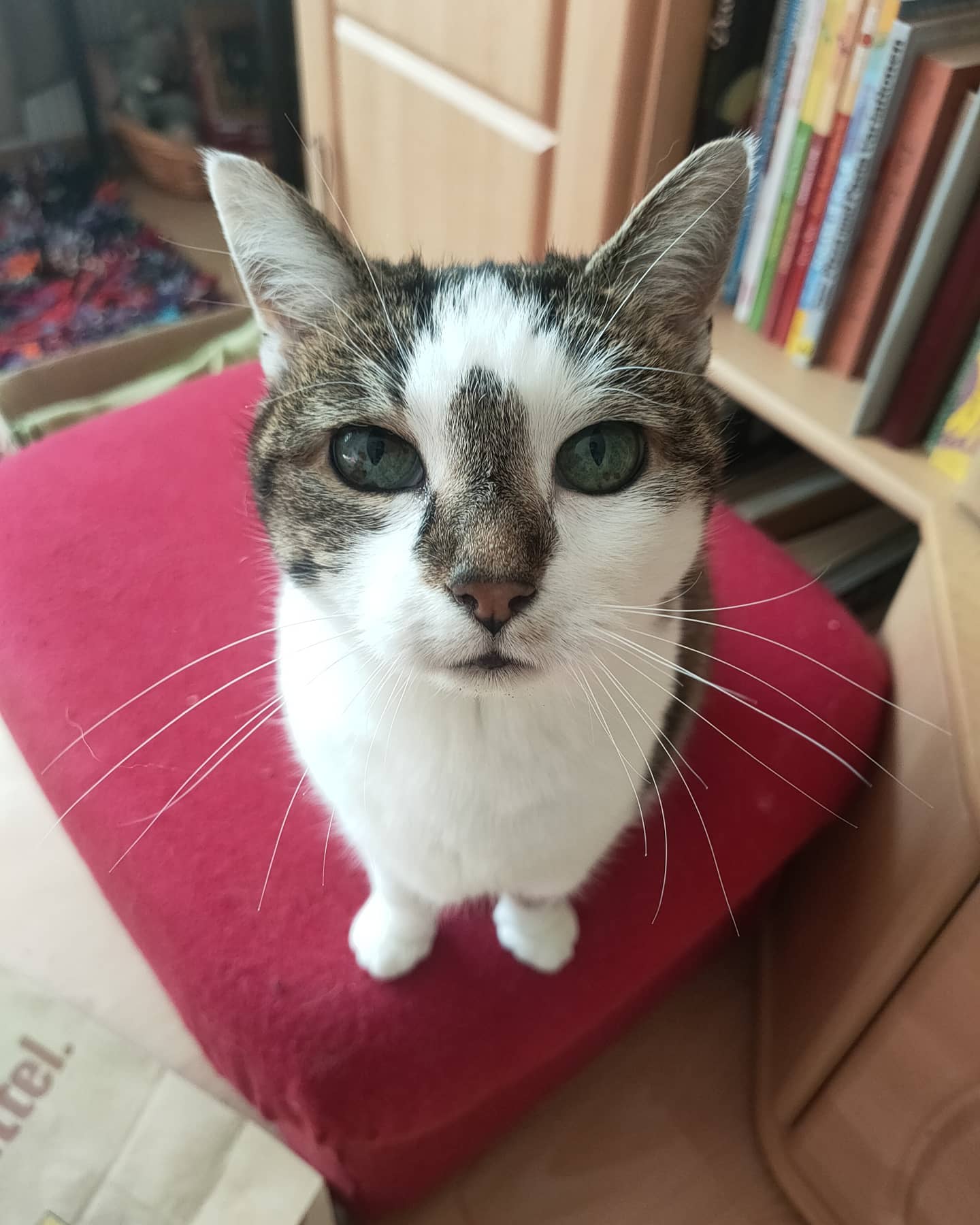 Erste Schritte mit dem Handy