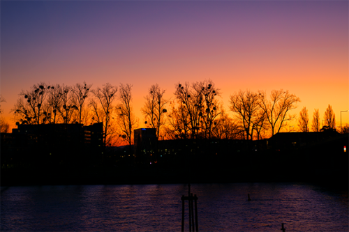 Sonnenuntergang-Webseite